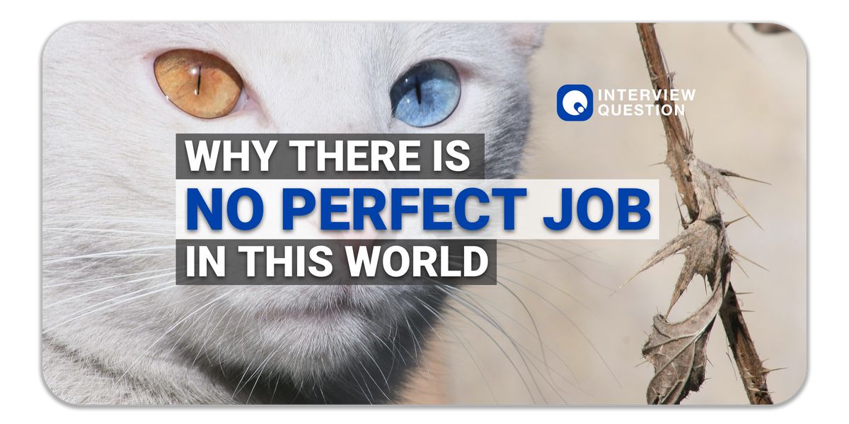 Why There Is No Perfect Job In This World